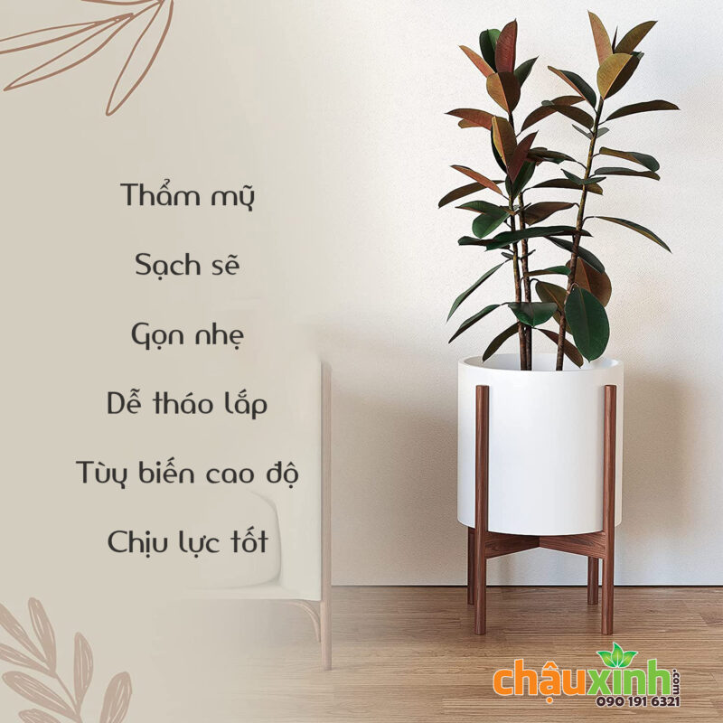 Chậu Xinh