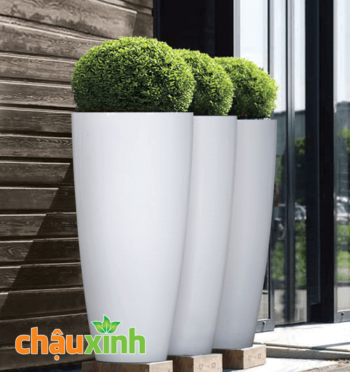 Chậu Xinh