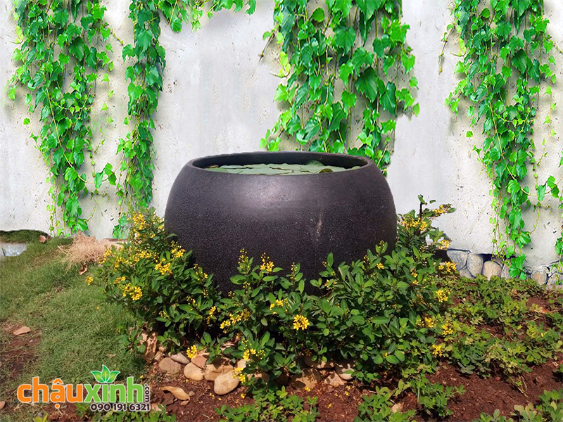 Chậu Xinh