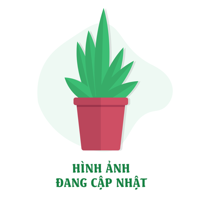 Chậu Xinh